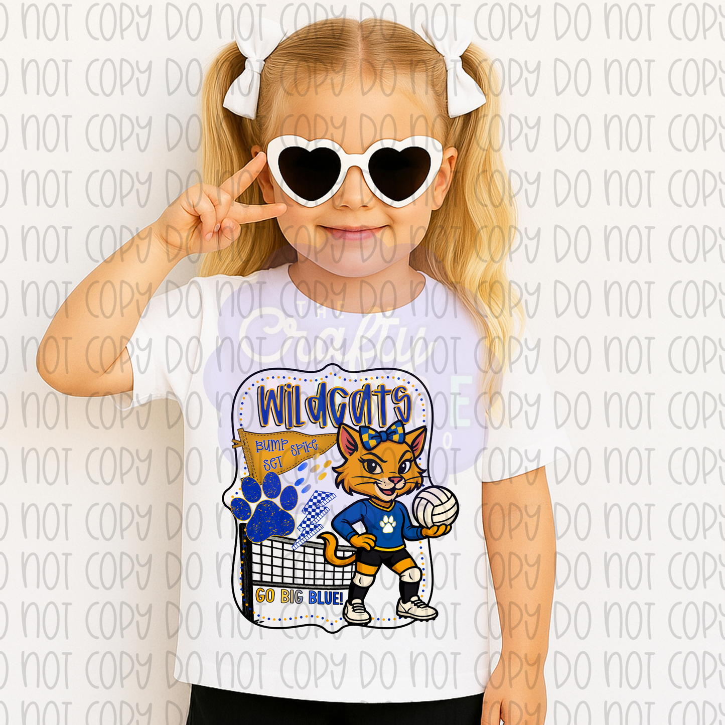 Wildcats Volleyball