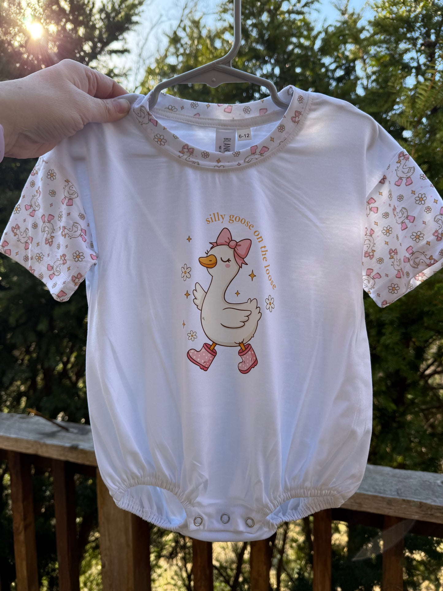 Silly Goose Bubble